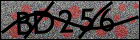 Captcha-Bild mit fünf Zeichen